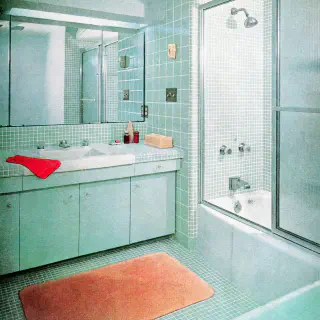 Die Vintage-Badezimmerfliesen der 1950er Jahre