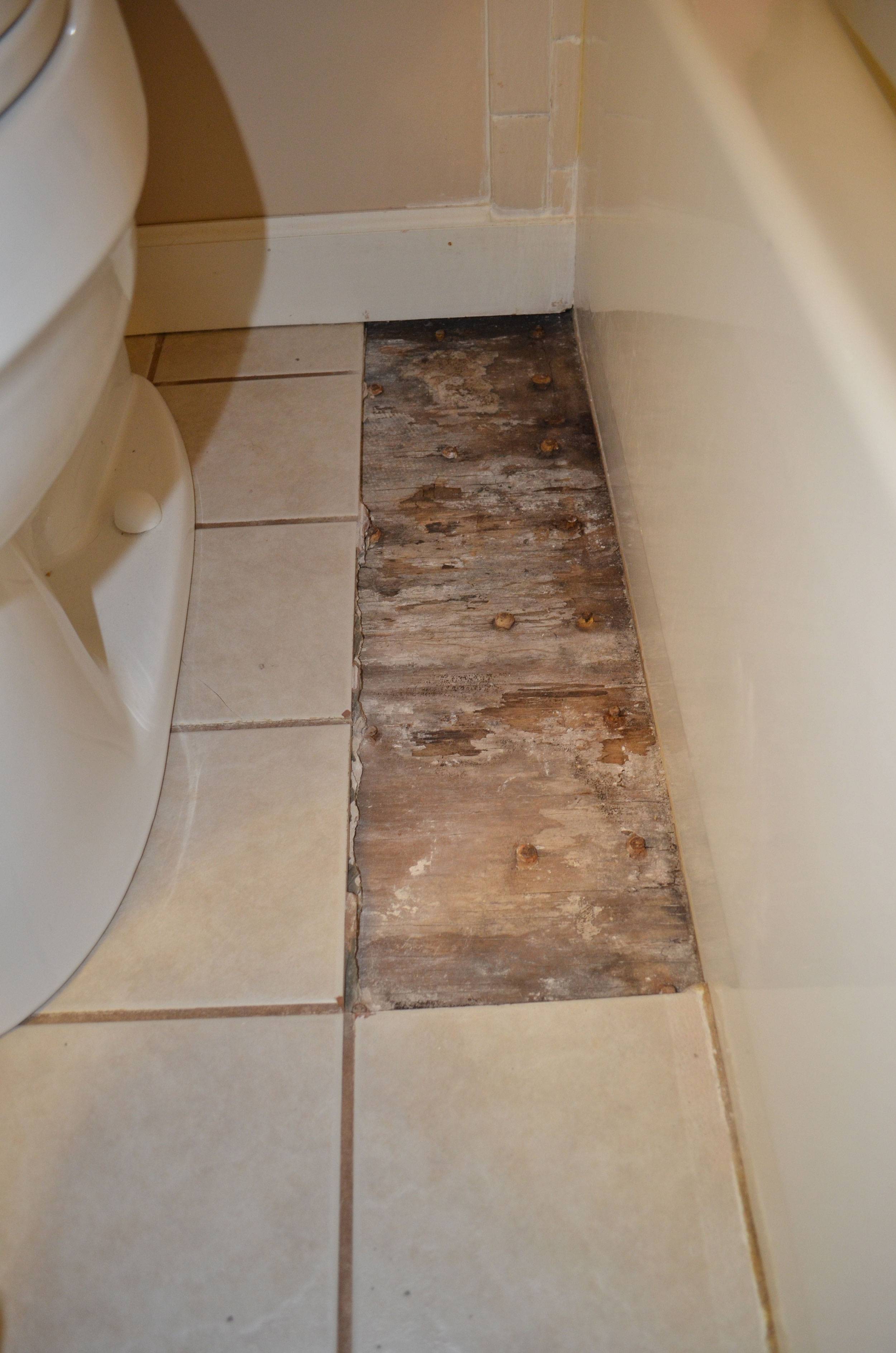 img/fixing-bathroom-tile-floor.jpg