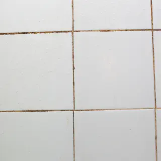 Schimmel auf den Badezimmerfliesen